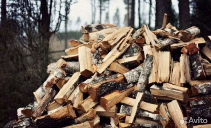Дрова береза
