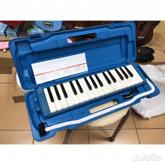 Мелодика Hohner