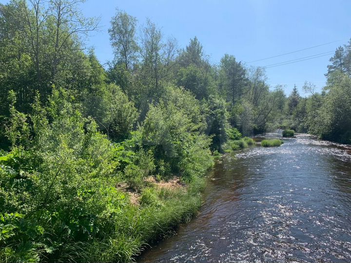 Участок 9 га (ИЖС)