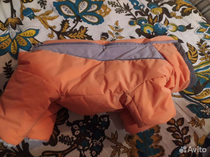 Зимняя куртка для собаки