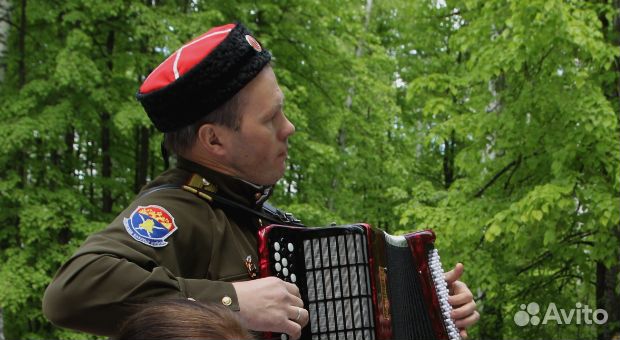 Баянист, гармонист, DJ