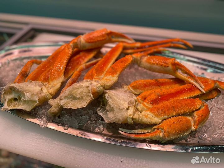 Клешни краба стригуна. Опт