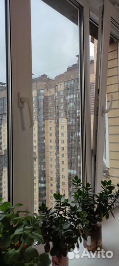 Сдам в аренду робота-мойщика окон