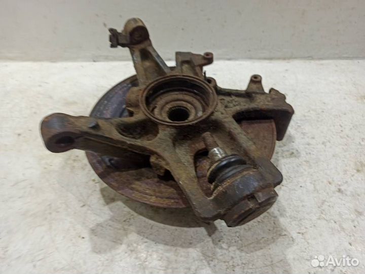 Кулак задний левый