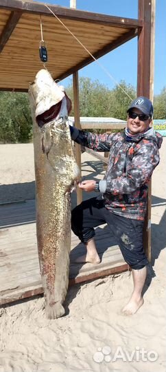 Рыбалка с гидом в Астрахани