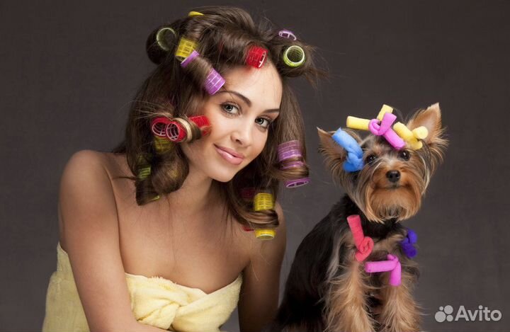 Грумер. Уход за животными