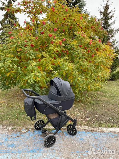 Коляска 2 в 1 Anex e/type