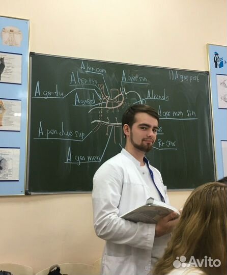 Репетитор Биология-Химия огэ-егэ