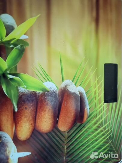 Весы напольные электронные 150 кг