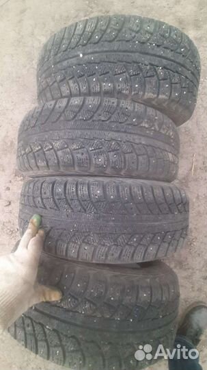 Gislaved Nord Frost 5 195/65 R15