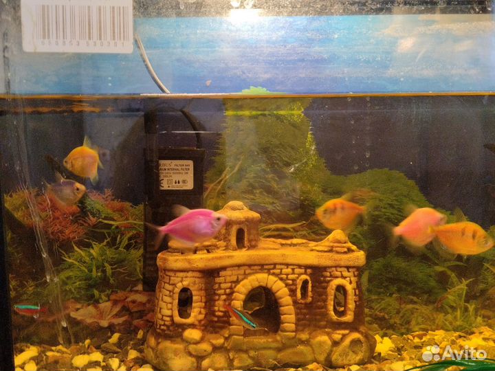Аквариум с рыбками
