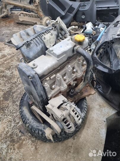 Двигатель Гранта,Калина,Датсун Лада 11186