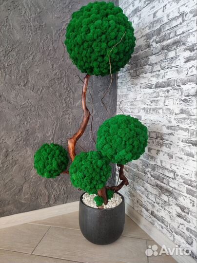 Дерево из стабилизированного мха в кашпо