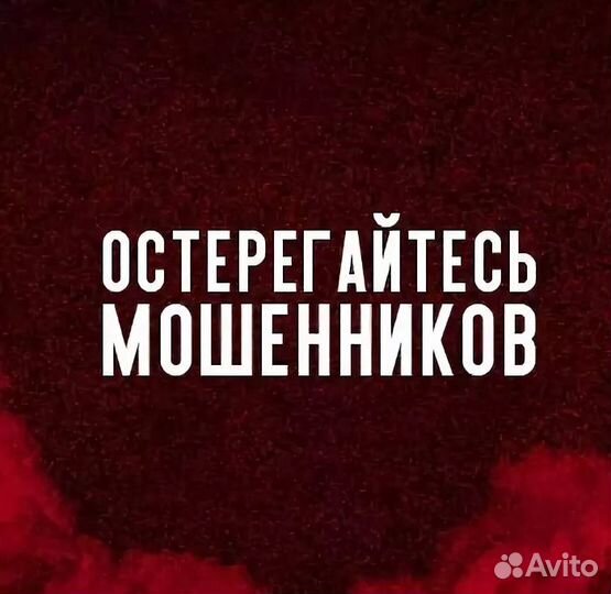 Путевые листы