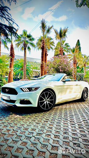 Аренда кабриолета Ford Mustang