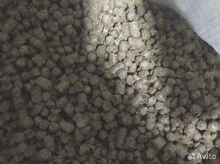 Пивная дробина