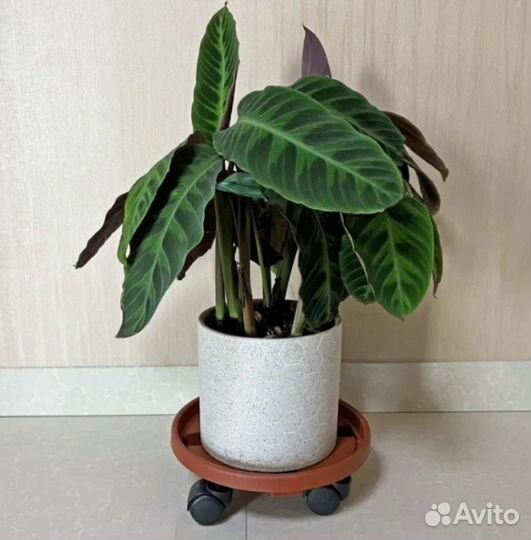 Подставка напольная для цветов