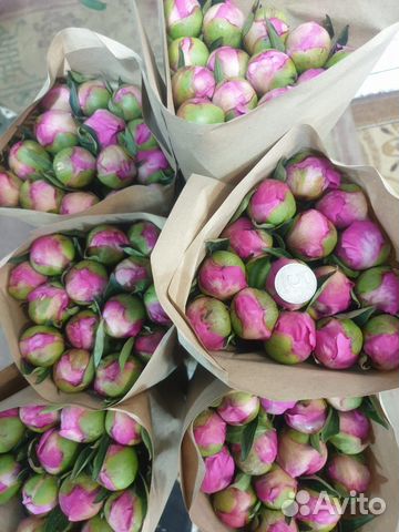 Пионы купить под заказ