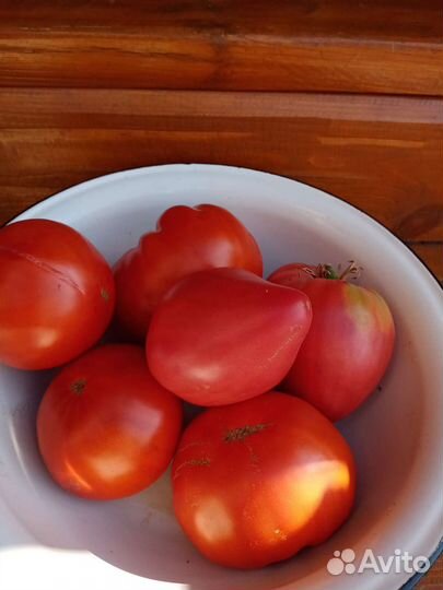 Помидоры
