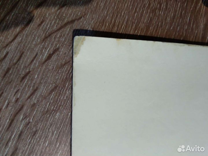 Марина Влади: Владимир, или прерванный полёт