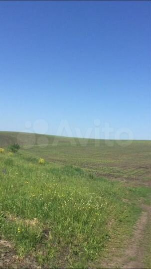 Участок 700 га (СНТ, ДНП)