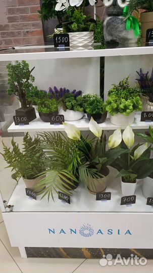 Искусственные растения