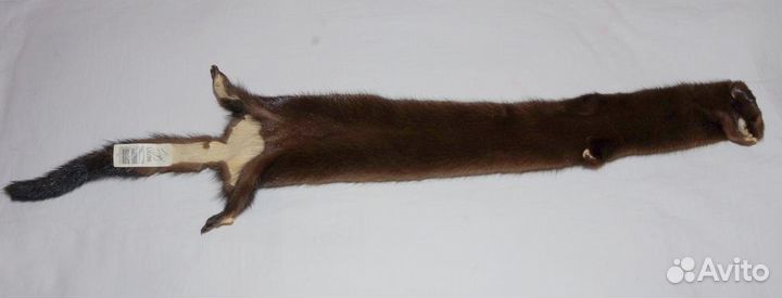 Норка шкурка темная