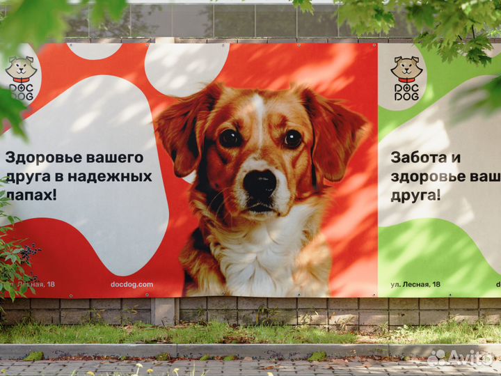 Графичесский дизайн