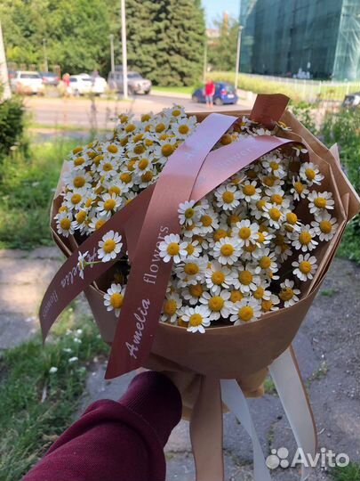 Ромашки (букет из цветов)