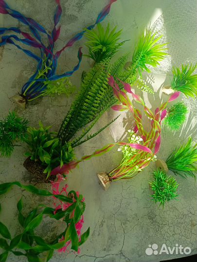 Украшения для аквариума (водоросли искусственные)