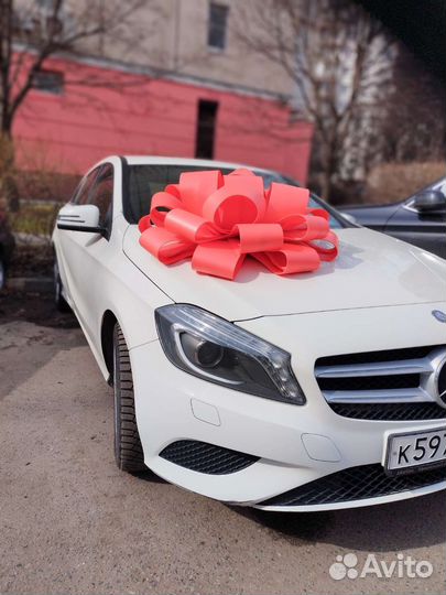 Большой красный бант