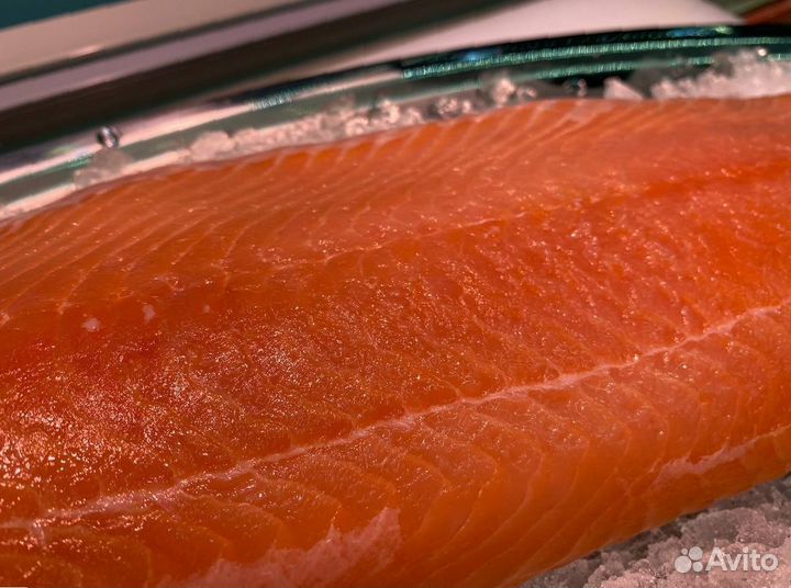 Лосось филе слабосолённый. Оптом