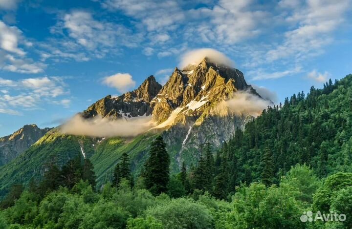 Relax-тур на Красную Поляну от 7 дней