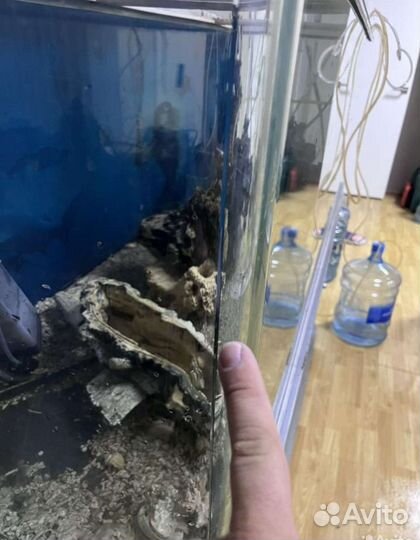 Аквариум под террариум, 500 л + тумба