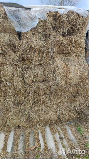 Сено в рулонах и тюках