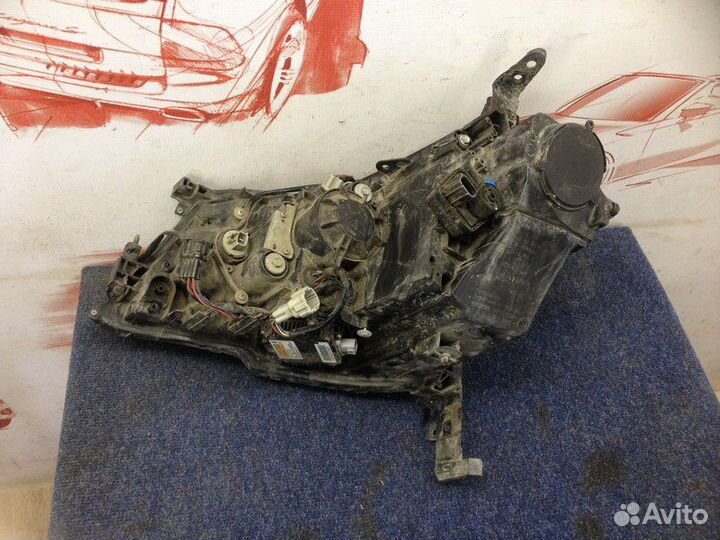 Фара правая Infiniti M (2005-2010)