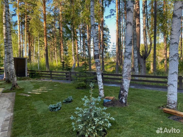 Рулонный газон от производителя