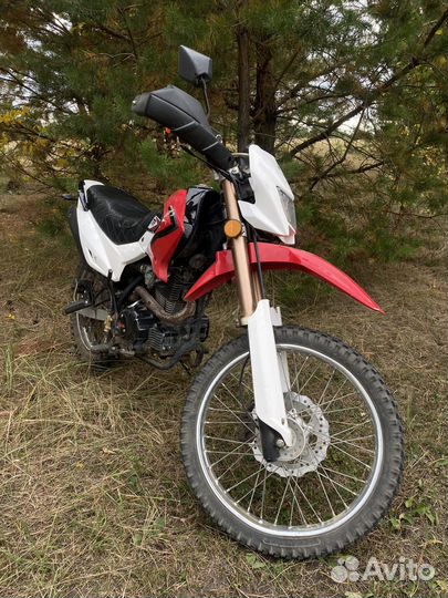 Ирбис ттр 250R