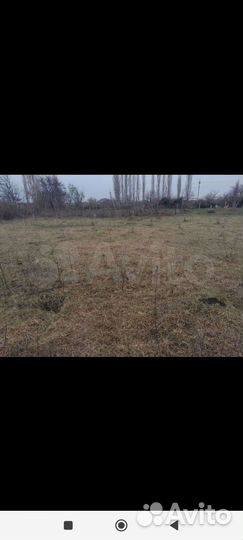 Участок 9суток