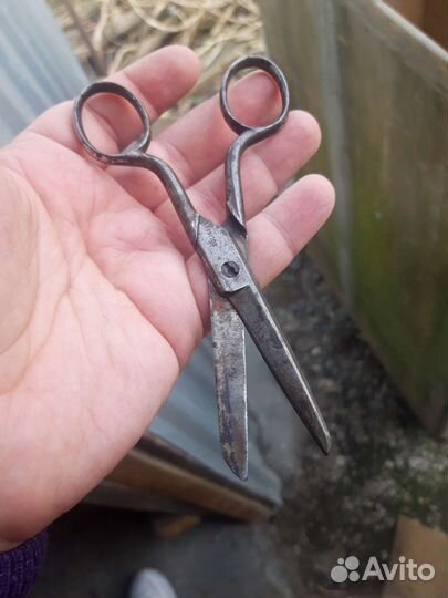 Ножницы solingen