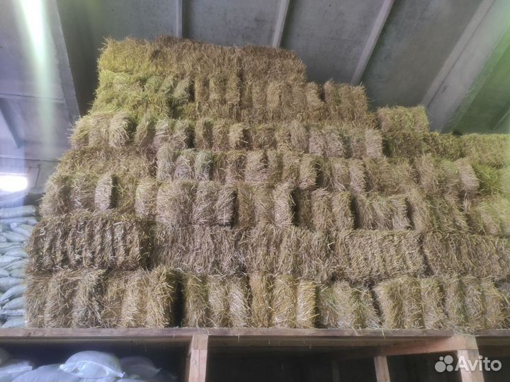 Солома пшеничная в тюках