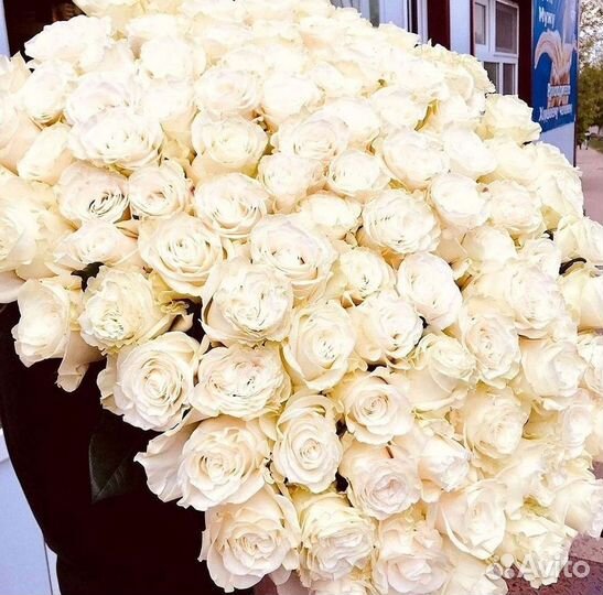 Высокие розы Гигантские розы 110