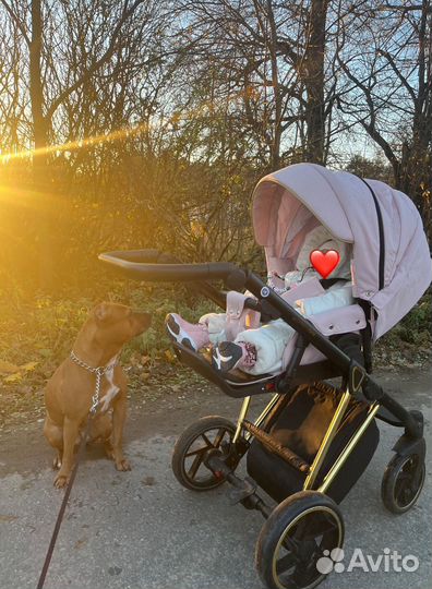 Коляска 2 в 1 bebe-mobile castello sport