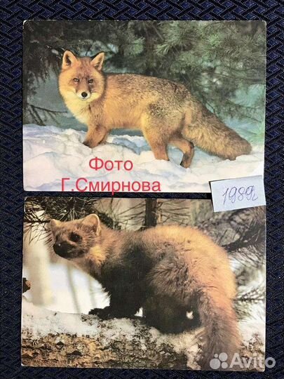 Открытки СССР Зарубин и др