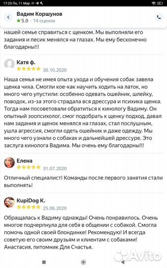 Кинолог-зоопсихолог, дрессировка, исправл. поведен