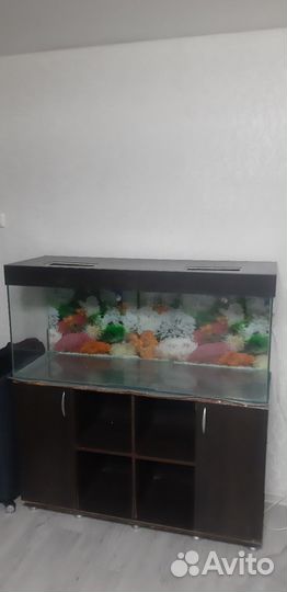 Аквариум