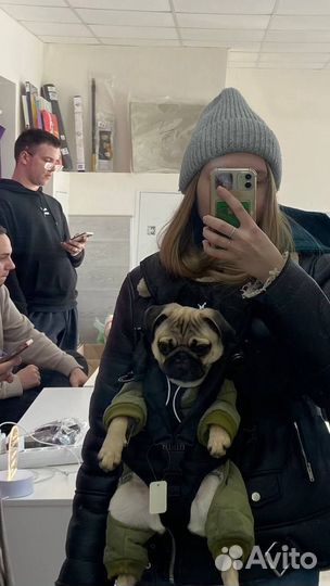 Рюкзак - переноска кенгуру для собак