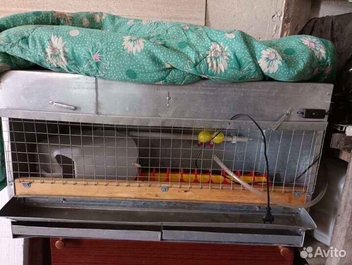 Брудер для цыплят бу