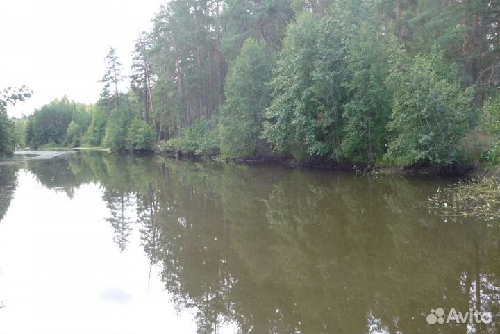 Рыбное хозяйство