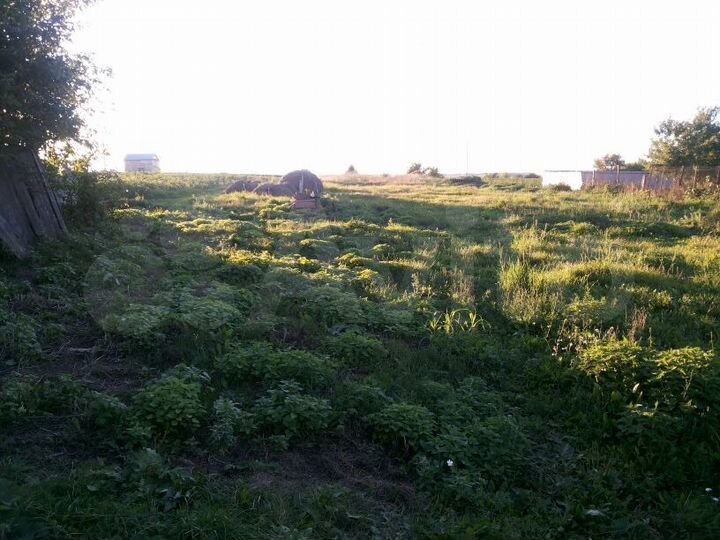 Участок 35 сот. (ИЖС)